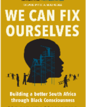 We Can Fix Ourselves